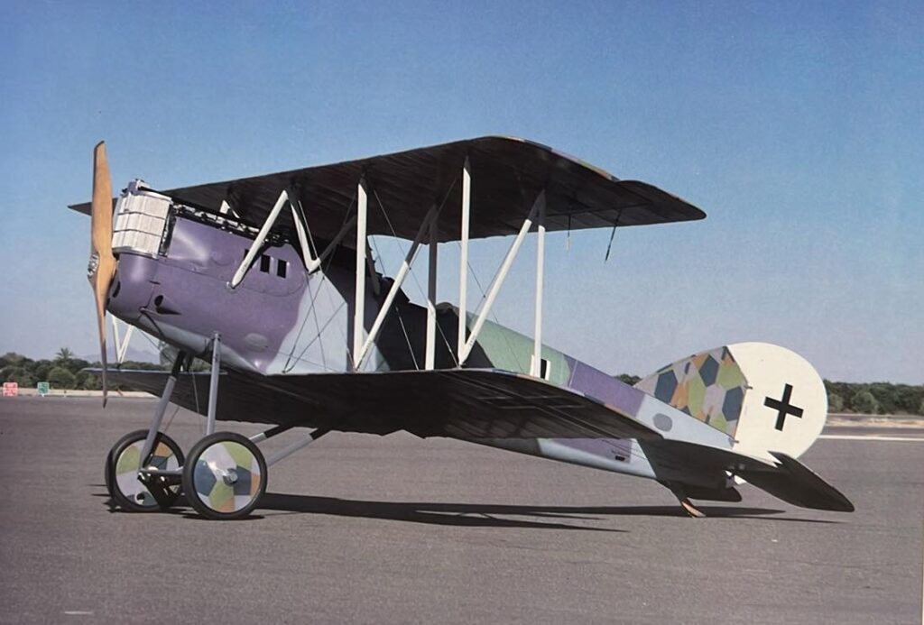 Pfalz D.XII at Falcon Field Mesa Arizona Champlin Fighter Museum Catalogue 1