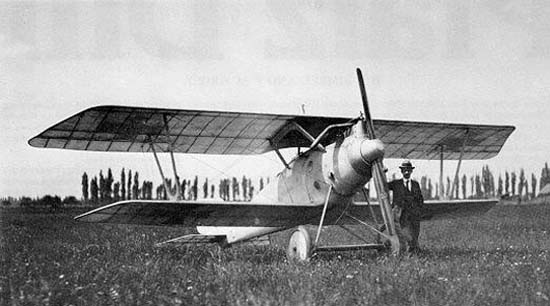 Aces: Emil Thuy - The Unstoppable Fighter Who Refused To Quit 11 Pfalz