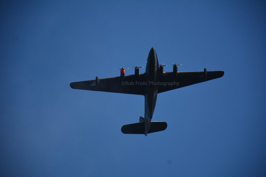 Philippine Mars Flies Sproat Lake 2