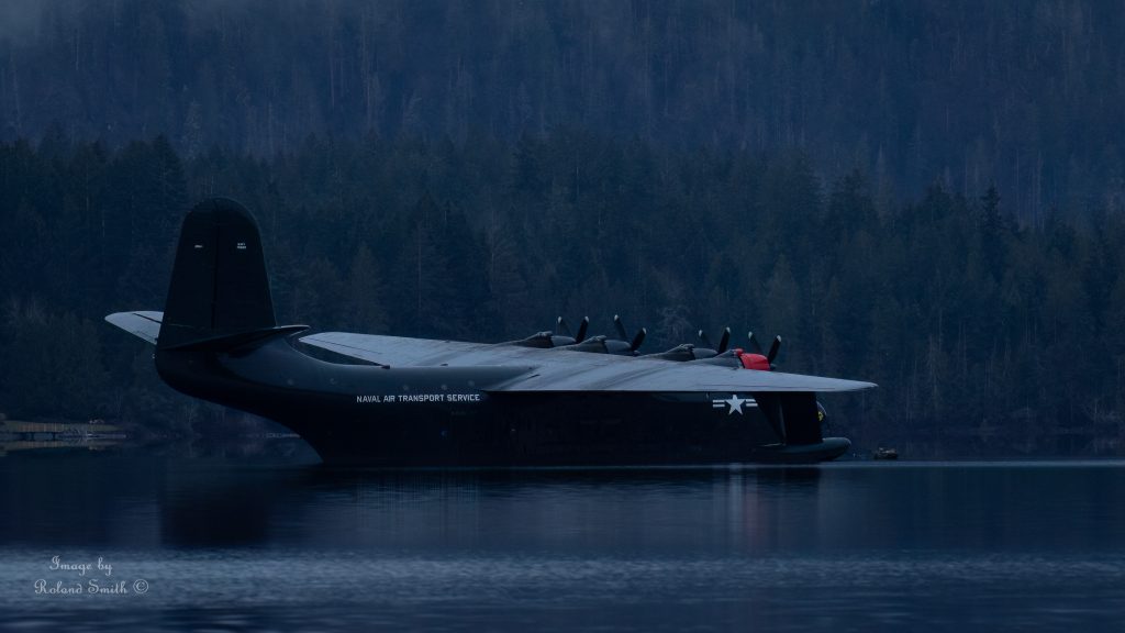 Philippine Mars Flies Sproat Lake 3