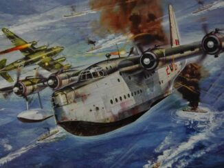 Ray Cross Sunderland Airfix