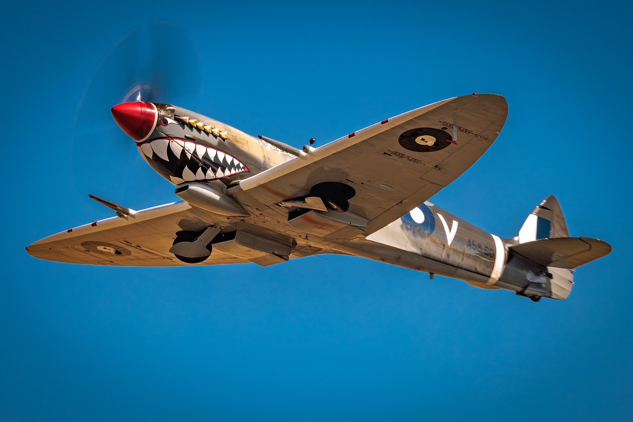 Royal Australian Air Force Announces Changes to Heritage Fleet 15 Royal Australian Air Force Announces Changes to Heritage Fleet Spitfire Mk VIII