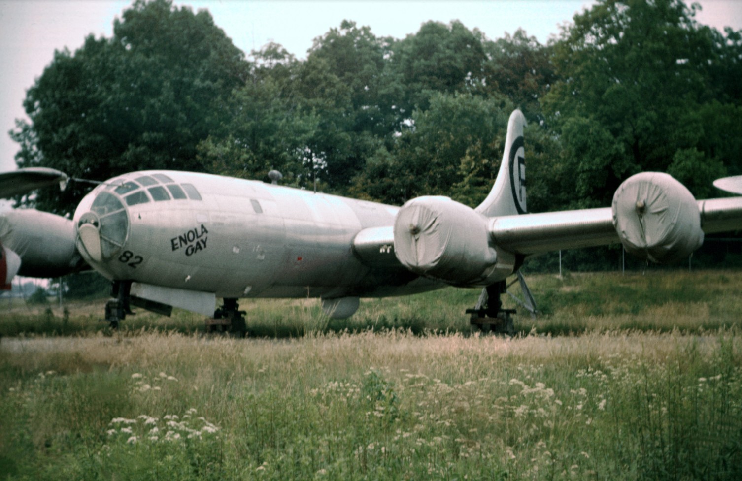 Screenshot 2025 07 29 070506