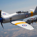 Sea Fury Four Ship