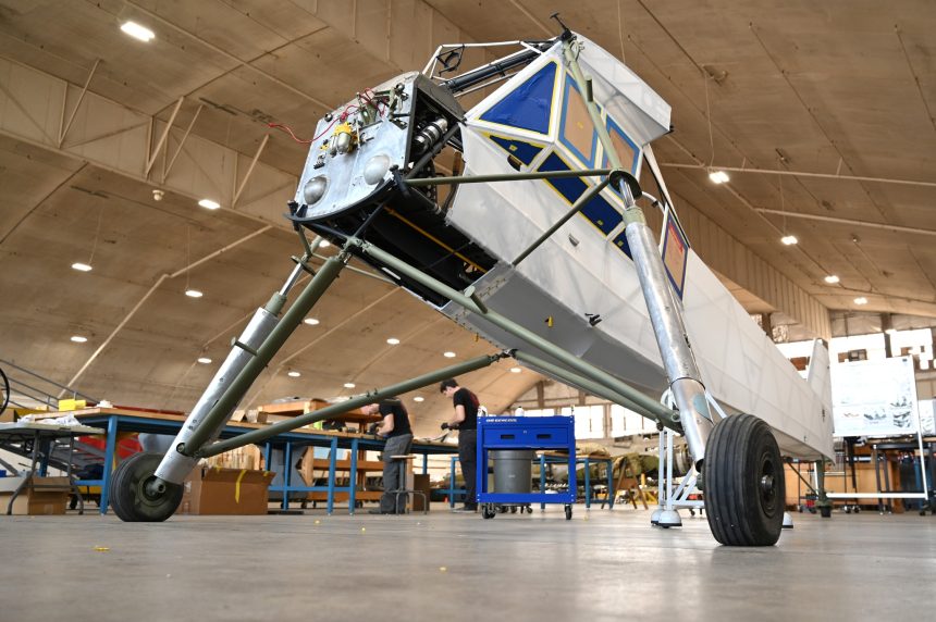 Storch 001