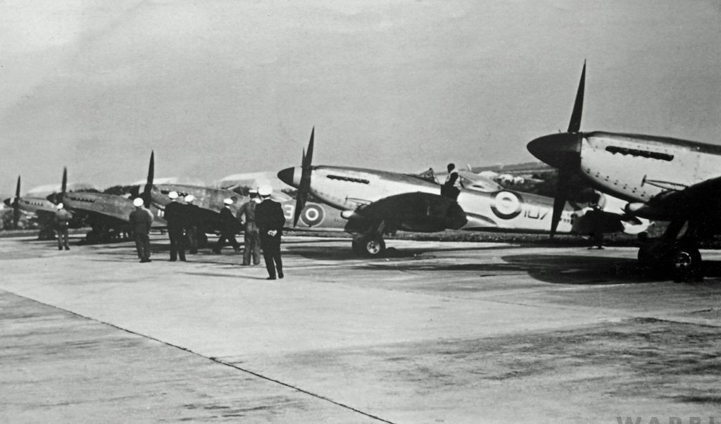 World’s Only Airworthy Supermarine Seafire XVII Returns Home to RNAS Yeovilton 14 Supermarine Seafire F.17 SW992 JA.107 STN 1950 edited 2