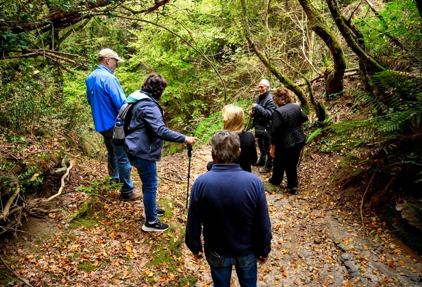 The Letter the Lightning and the Cave A World War II Rescue Remembered 6