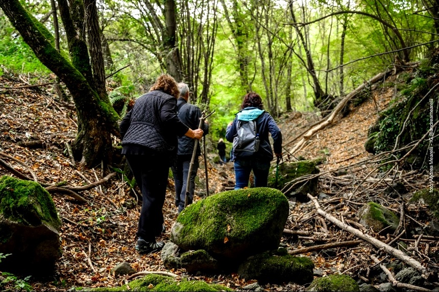 The Letter the Lightning and the Cave A World War II Rescue Remembered 7