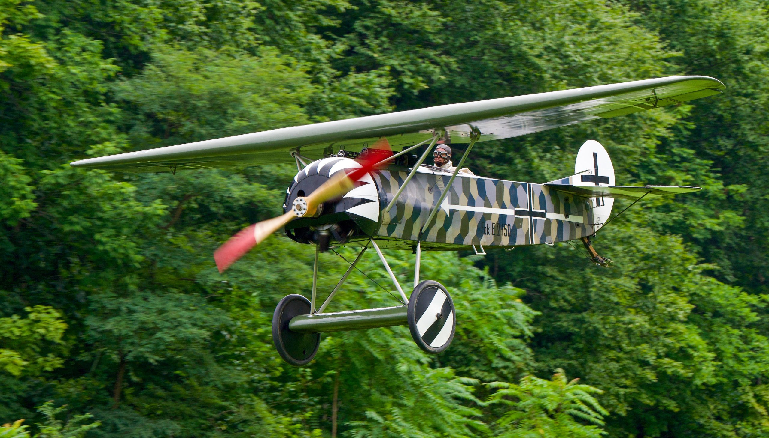 The Museums Fokker D.VIII with a rotary engine flown by Brian Coughlin. Photo by Dave Trost scaled