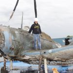 The Recovery of the Great Navy Birds of Lake Michigan