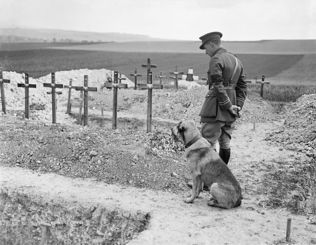 Aces of the Great War: James McCudden - Britain’s Master of the High-Altitude Intercept 19 The Royal Flying Corps on the Western Front 1914 1918 Q9042