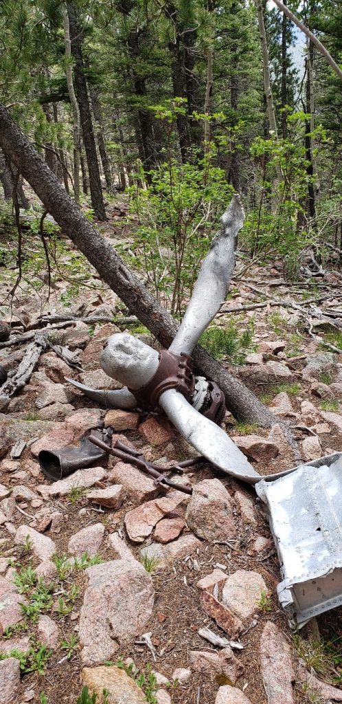 The Final Flight of B-24 Liberator 41-1133 12 Trail Peak B24 Crash Site 008 Photo Credit Sandra White NSM PSR