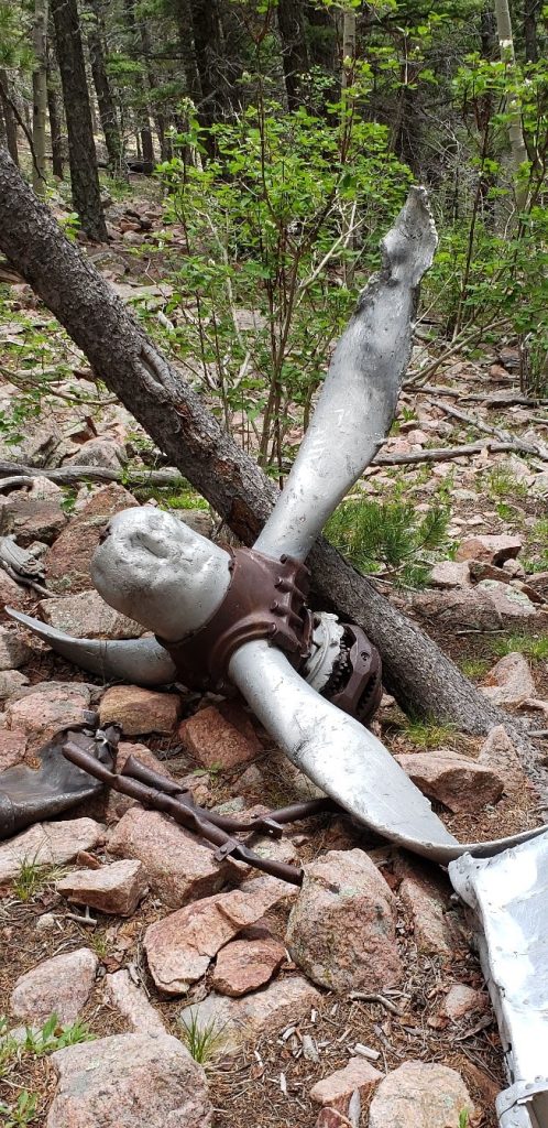 The Final Flight of B-24 Liberator 41-1133 11 Trail Peak B24 Crash Site 009 Photo Credit Sandra White NSM PSR
