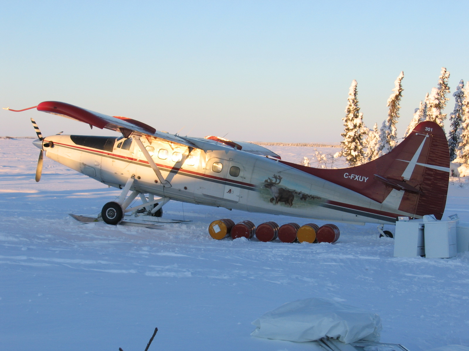 Turbo Otter on Wheel Skiis