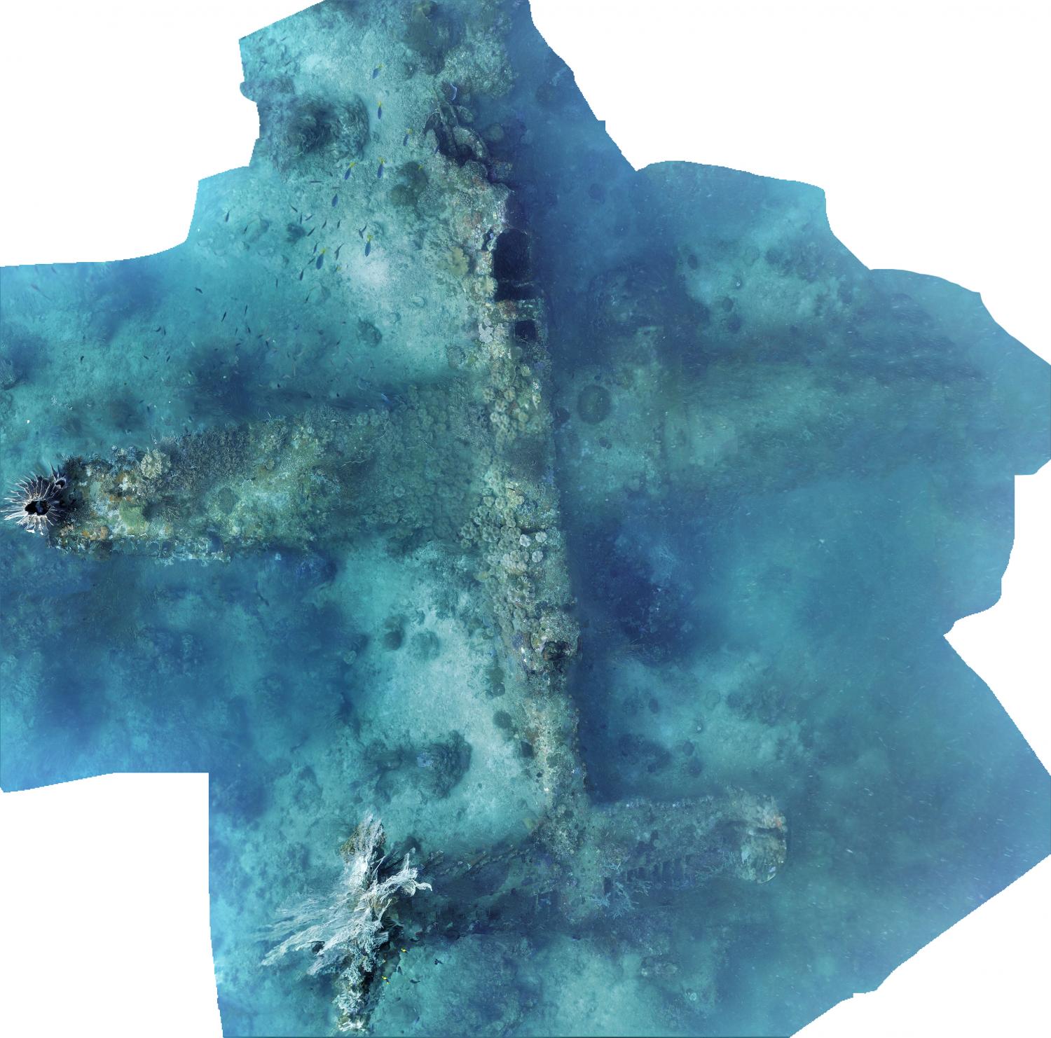 A photomosaic constructed by Project Recover of an underwater wreck of a WWII B-25 bomber. Credit: Project Recover Read more at: https://phys.org/news/2017-05-world-war-ii-b-bombers.html#jCp