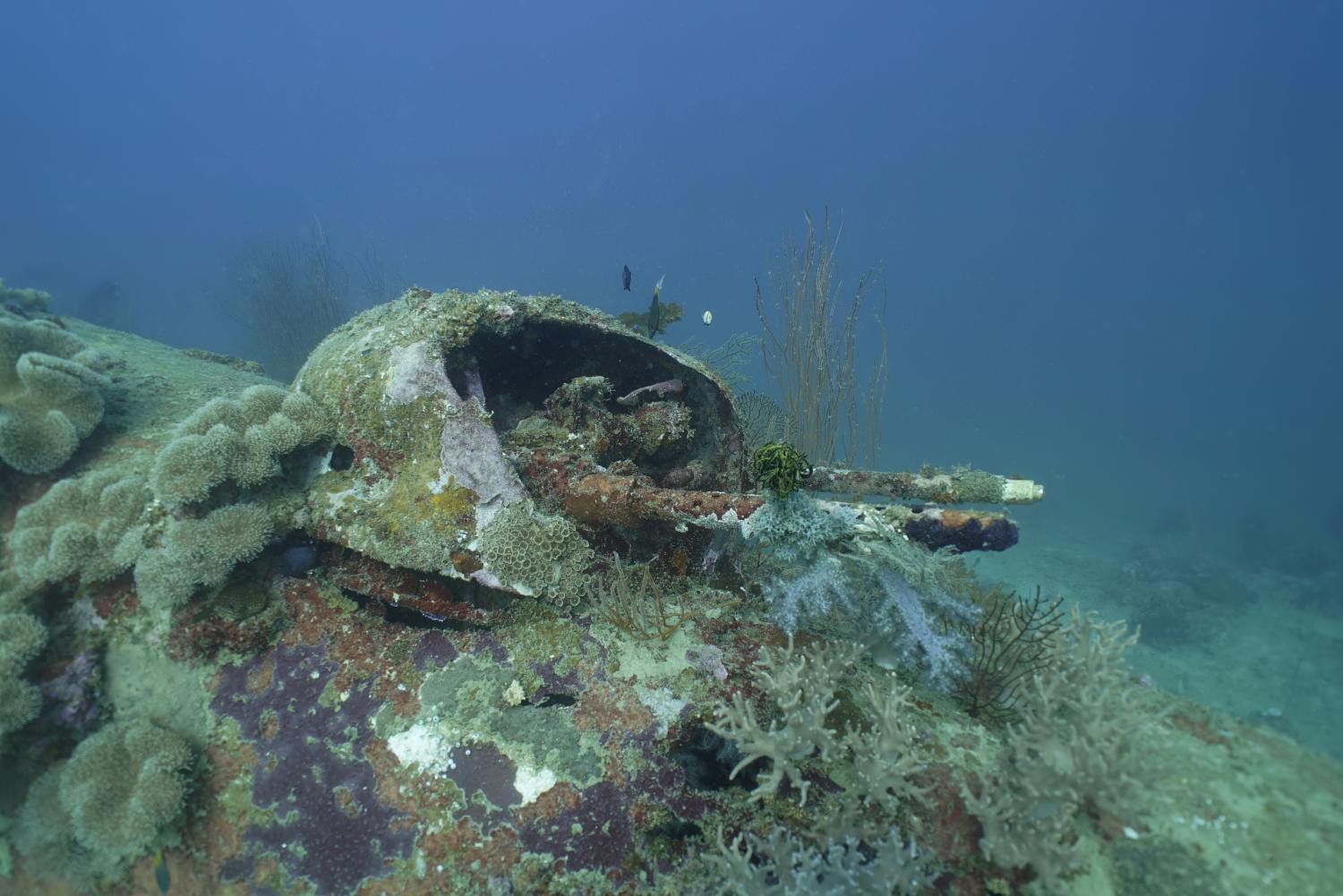 Two Missing World War II B-25 Bombers Documented by Project Recover Off Papua New Guinea _3