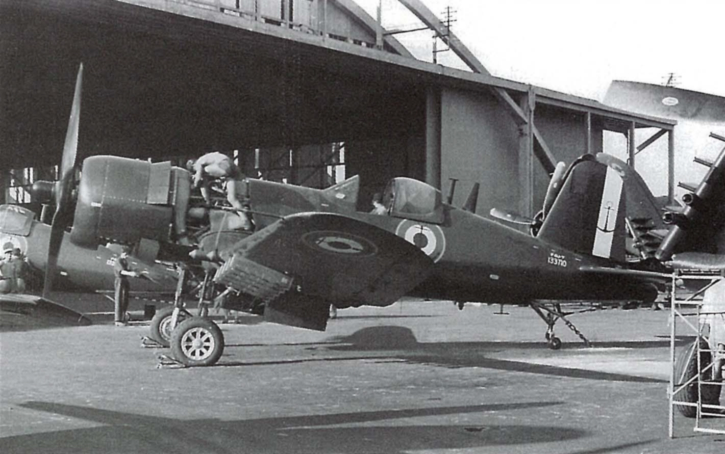 Vought F4U 7 Corsair French Navy Flottille 12F USN BuNo 133710 at Karouba Tunisia 1953 01