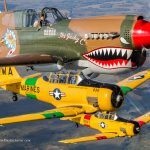 Warbird Adventure T 6 and AAm P 40 copy