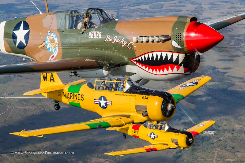 Thom Richard in the American Airpower Museum's P-40 Warhawk, flying in formation with the museum's T-6 Texans ( Photo by Mike Killian) 
