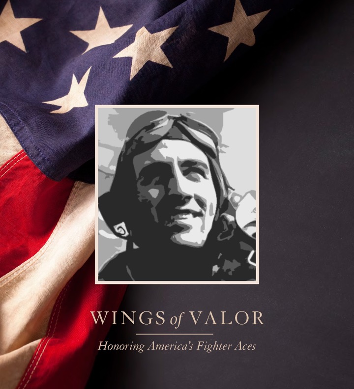Wings of Valor_BLAD_01b_small_Page_1