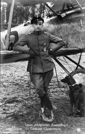 Aces of War: Heinrich Gontermann - The Blue Max Hero of Jasta 15 10 content