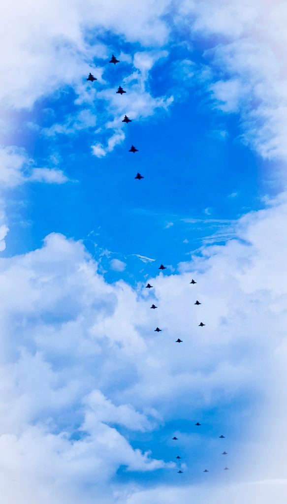 Swedish Air Force – Celebrating a Century of Flying 14 flygvapnet n