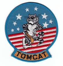 F-14 Tomcat Wash 9