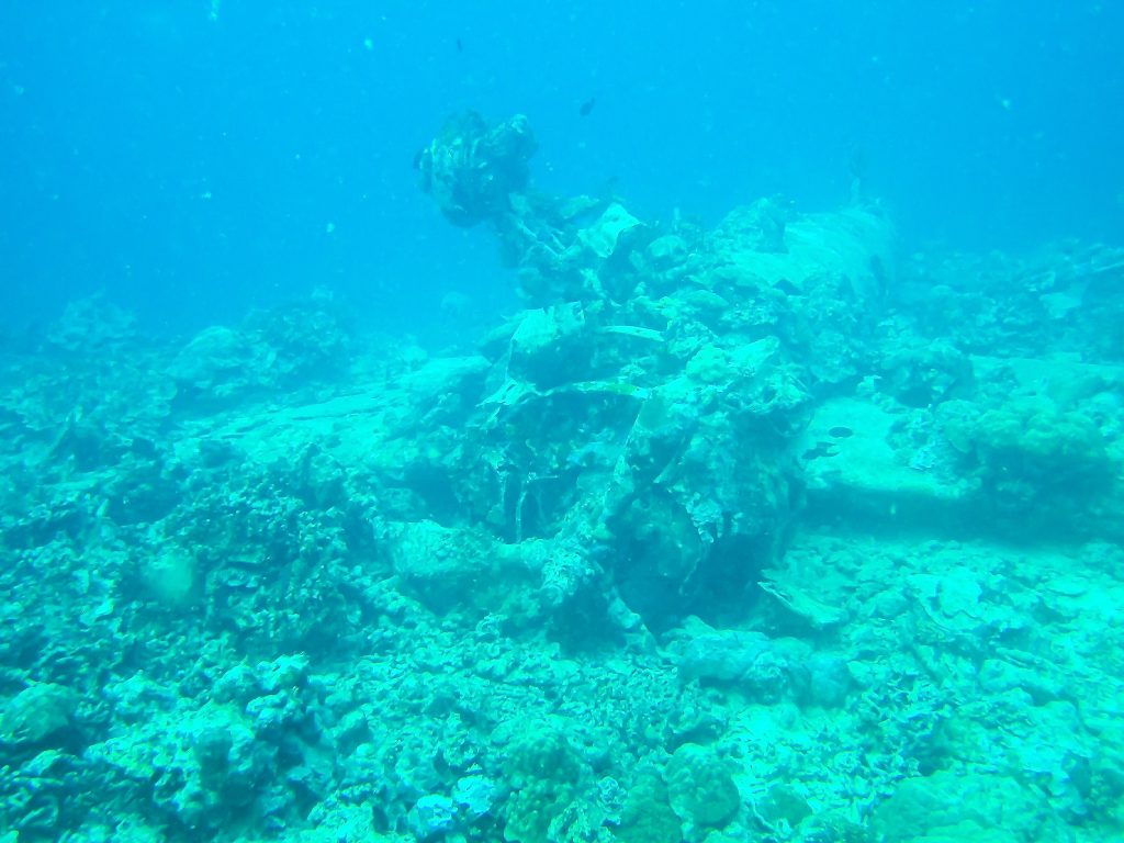 Into the Solomon Islands: Mark Roche’s Journey Through the Sunken Wrecks of WWII 11 irvin rink wildcat c. 2008 mark roche 2