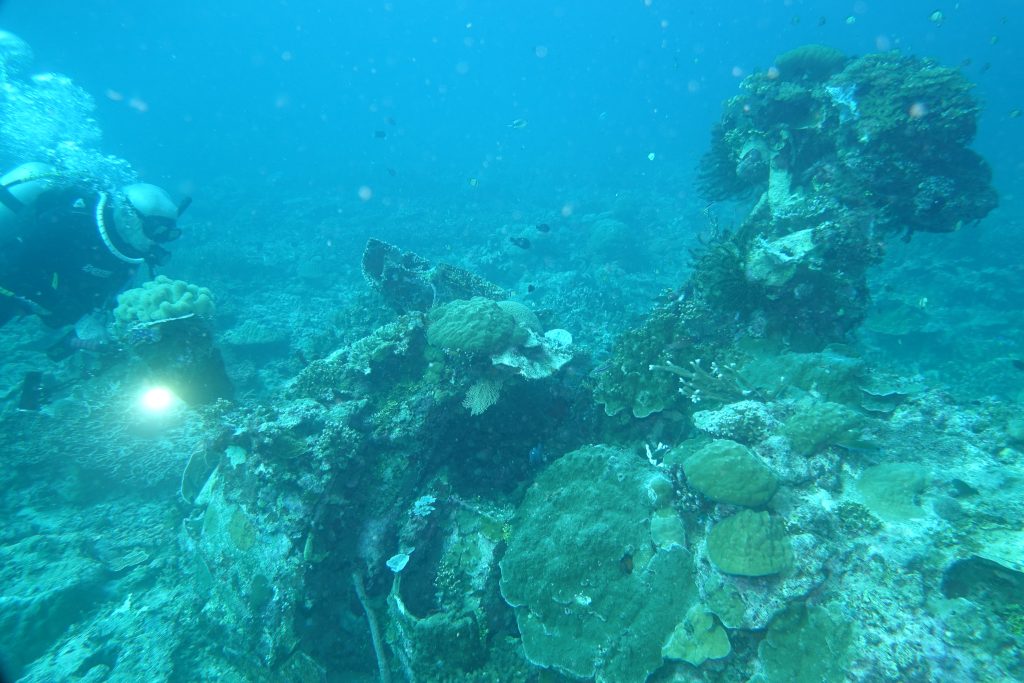Into the Solomon Islands: Mark Roche’s Journey Through the Sunken Wrecks of WWII 19 irvin rink wildcat c. 2019 mark roche