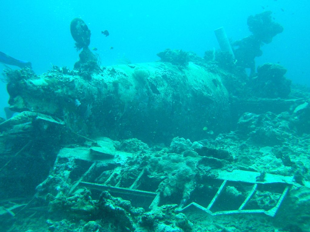 Into the Solomon Islands: Mark Roche’s Journey Through the Sunken Wrecks of WWII 13 irvin rink wildcat l horizontal stab c. 2008 mark roche