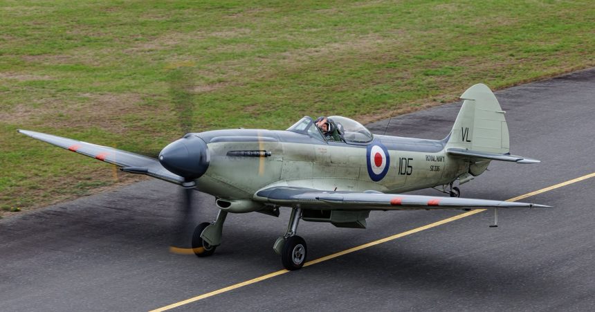supermarine seafire f.mk .xvii sx336 has returned to the navy wings 5