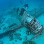 US Navy Announces Mission to Recover a Douglas TBD Devastator 10 the devastator